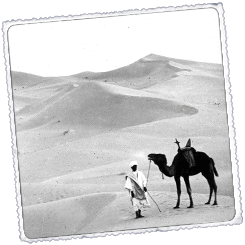 Foto A peu pel Desert Blanc [Egipte]