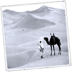 Foto A pie por el desierto blanco [Egipto]