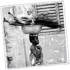 Foto Benin Herri txiki bateko aniztasuna
