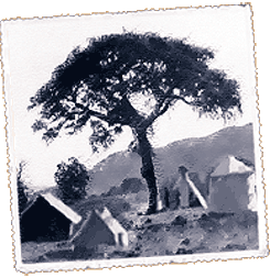Foto Etiopia Danakilgo sakonunea, afar etniaren bizilekua