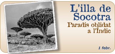 Viatges a la Illa de Soqotra 2025