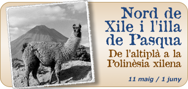 Viatges a Xile i la Illa de Pasqua 2026