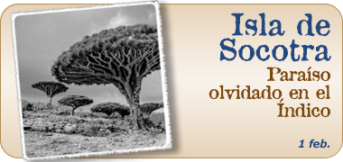 Viajes a la Isla de Soqotra 2025