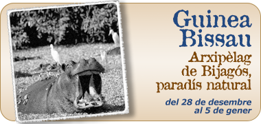 Viatges a Guinea Bissau