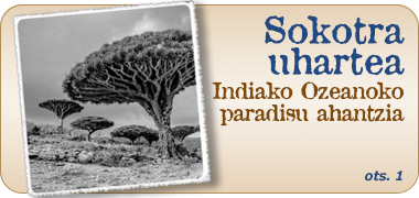 Sukutra uharteaerako bidaiak - 2026ko 