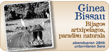 Ginea Bissauerako bidaiak