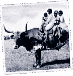 Foto Burkina Faso Afrovaca Proiektuari laguntzen Saheli buruzko bestelakobegirada bat