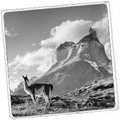 Foto Patagonia Udaberria   hego hemisferioan