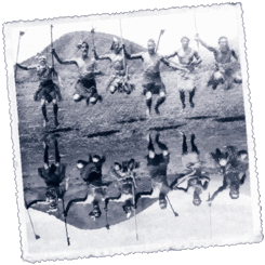 Foto Zeelanda Berria Laino zuri  luze baten  edertasuna