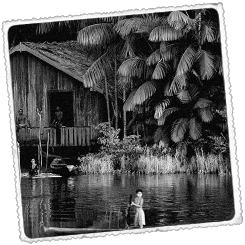 Foto Amazonia Gure planetaren birika [Brasil]