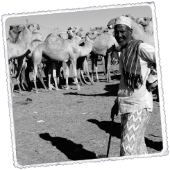 Foto Somalilàndia Viatge a la Terra de Punt