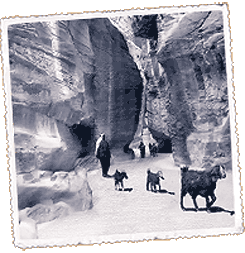 Foto Jordania Petra, Wadi Dana y el desierto del Rum