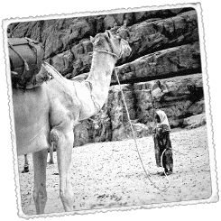 Foto Trekking en el desierto de Wadi Rum [Jordania]