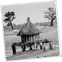 Foto Caminando por la Casamance El país de los diola [Senegal]