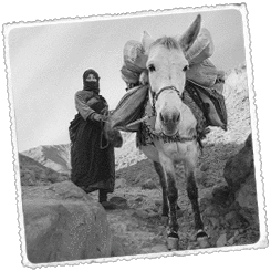 Foto Trek de l’Atles,  Jebel Sahgro [Marroc]