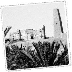 Foto Norte de Egipto Oasis de Siwa, Fayún y Alejandría