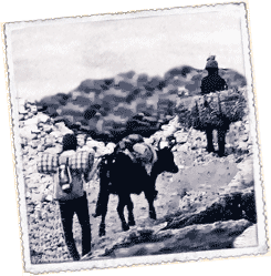 Foto Dolpo, Por los caminos de la sal
 Nepal