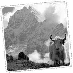 Foto Trek al valle de Langtang y lagos de Gosaikund Nepal