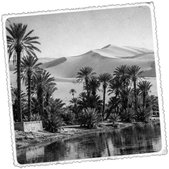 Foto Argelia Desde Orán a Ghardaia,  a través del Gran Erg Occidental