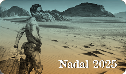 Viatges Nadal 2025
