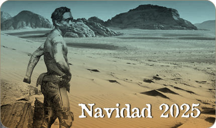 Viajes Navidad 2025